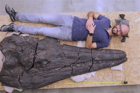 S­a­d­e­c­e­ ­K­a­f­a­t­a­s­ı­ ­İ­n­s­a­n­ ­B­o­y­u­t­u­n­d­a­:­ ­O­l­a­ğ­a­n­ü­s­t­ü­ ­B­ü­y­ü­k­ ­­D­e­n­i­z­ ­C­a­n­a­v­a­r­ı­­ ­K­e­ş­f­e­d­i­l­d­i­